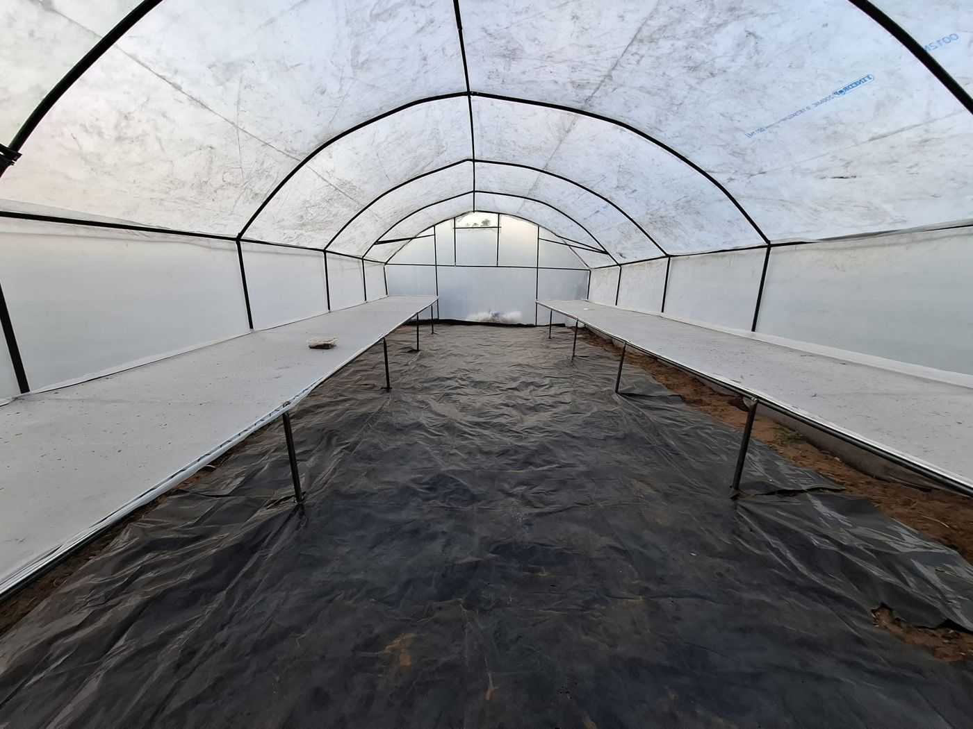 The greenhouse where Black Soldier Fly larvae are dried